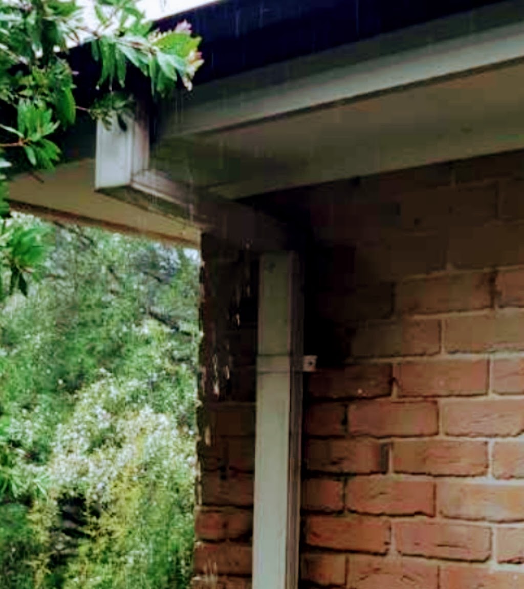 Flow Right Gutter Cleaning & Tree Care | 27 Godson Ave, Blackheath NSW 2785, Australia | Phone: 0411 981 260