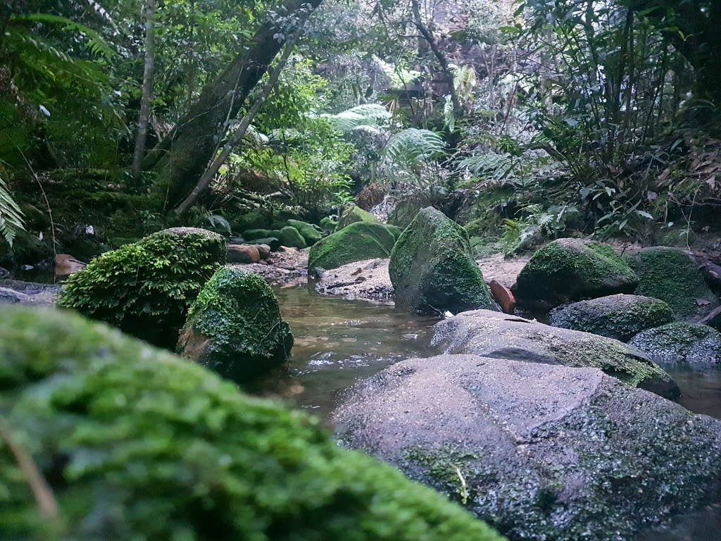 Horseshoe Falls | park | Oaklands Rd, Hazelbrook NSW 2779, Australia