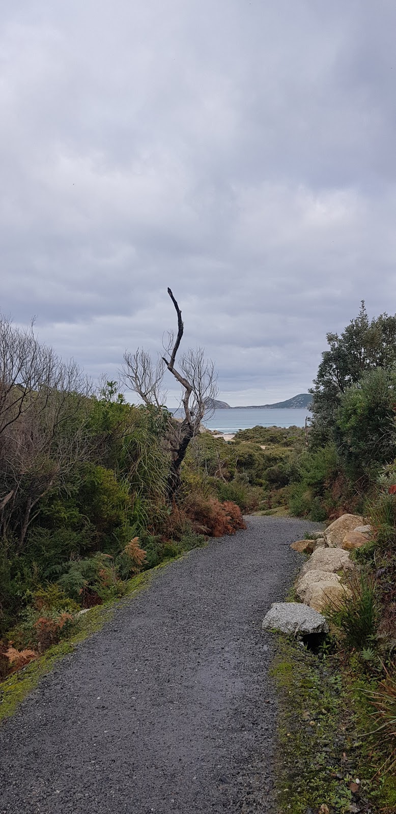 Whisky Bay | park | Whisky Bay Carpark Rd, Wilsons Promontory VIC 3960, Australia | 131963 OR +61 131963