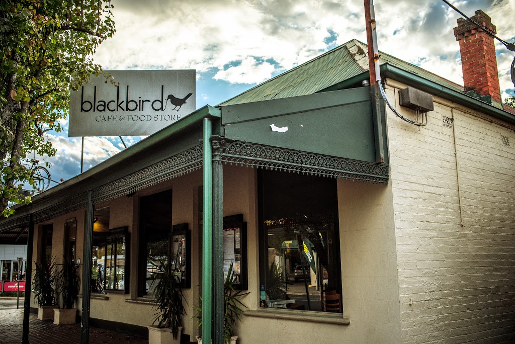 Blackbird Cafe | cafe | 95 Gavan St, Bright VIC 3741, Australia | 0357501838 OR +61 3 5750 1838