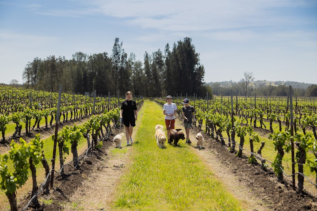 DVine Festival Pokolbin | Hermitage Rd, Pokolbin NSW 2320, Australia | Phone: 0499 908 397