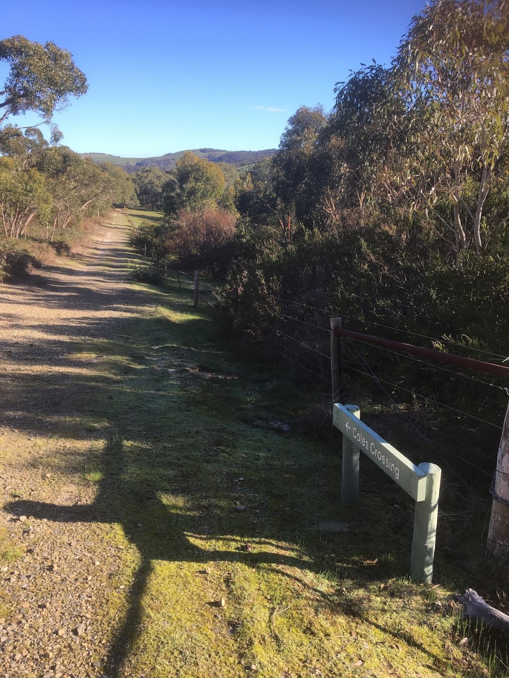 Cox Scrub Conservation Park | Bull Creek Rd, Ashbourne SA 5157, Australia