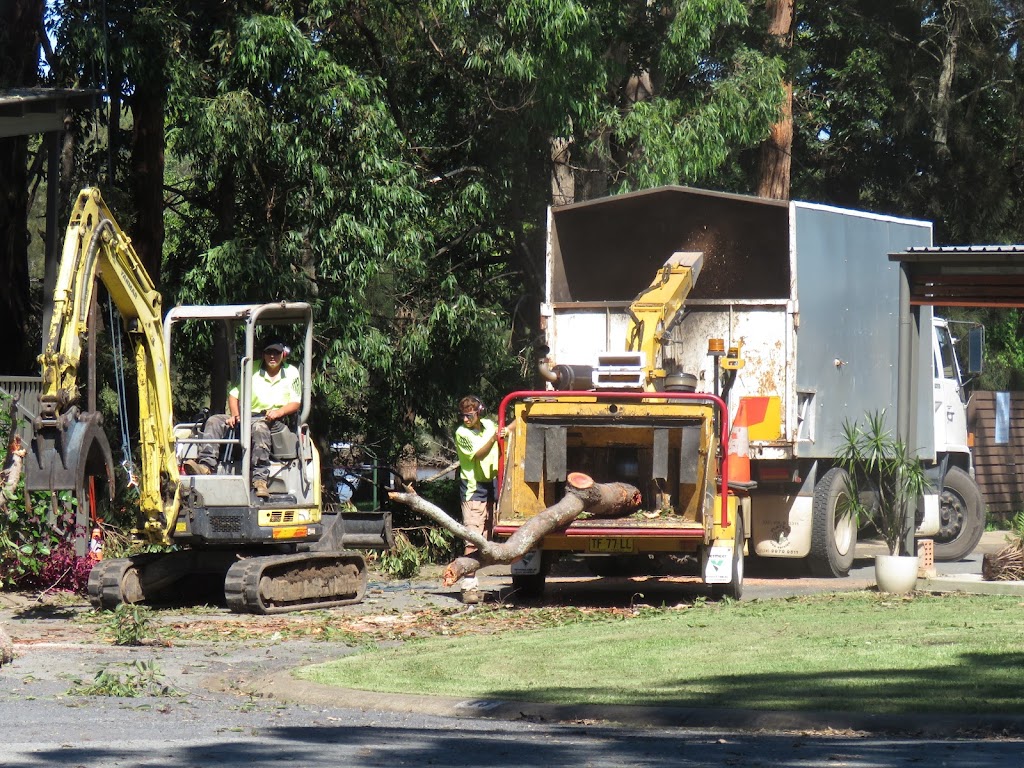 Jeff Pearce Tree Services Depot | Upper Lansdowne Rd, Upper Lansdowne NSW 2430, Australia | Phone: 0418 448 313