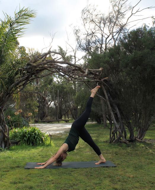 The Travelling Yogis | 1395 Blackgate Rd, Freshwater Creek VIC 3217, Australia | Phone: 0405 816 756