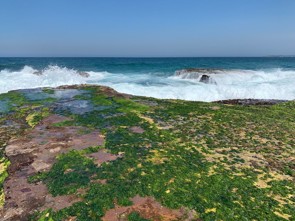 Mona Vale Rockpool | Surfview Rd, Mona Vale NSW 2103, Australia | Phone: 1300 434 434