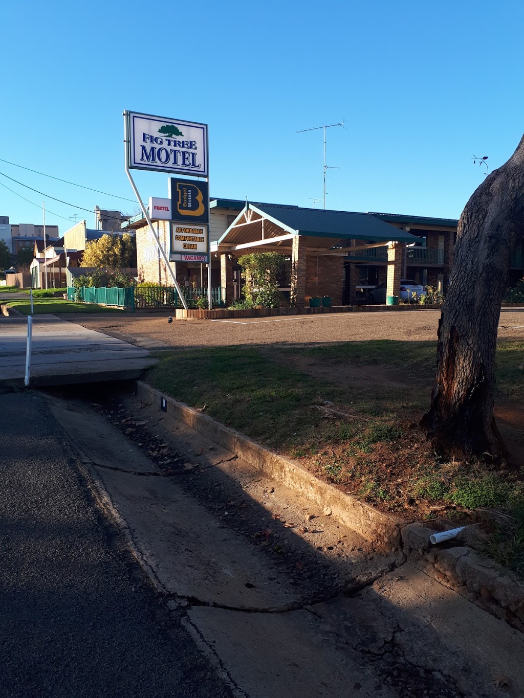 Fig Tree Motel | lodging | 9 Cadell St, Narrandera NSW 2700, Australia | 0269591888 OR +61 2 6959 1888