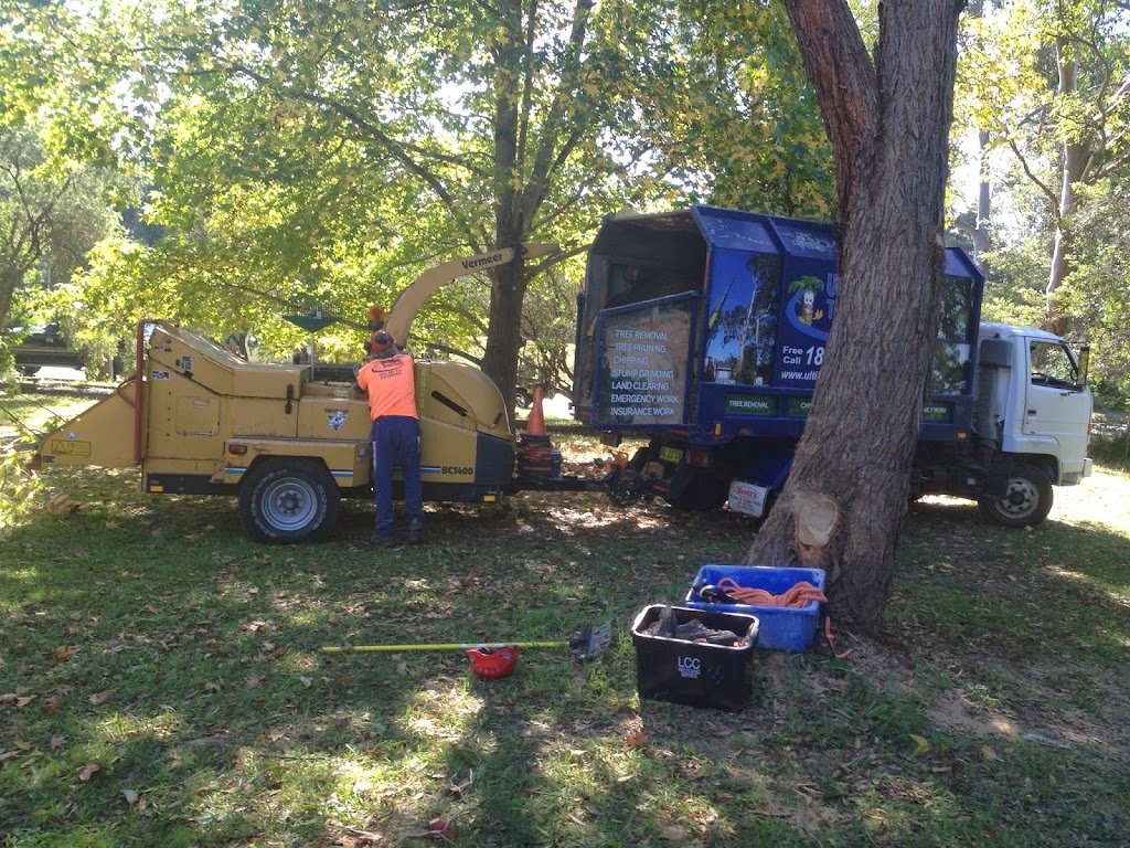 Ultimate Tree Care | 74 Bottlebrush Dr, Glenning Valley NSW 2261, Australia | Phone: 1800 883 572