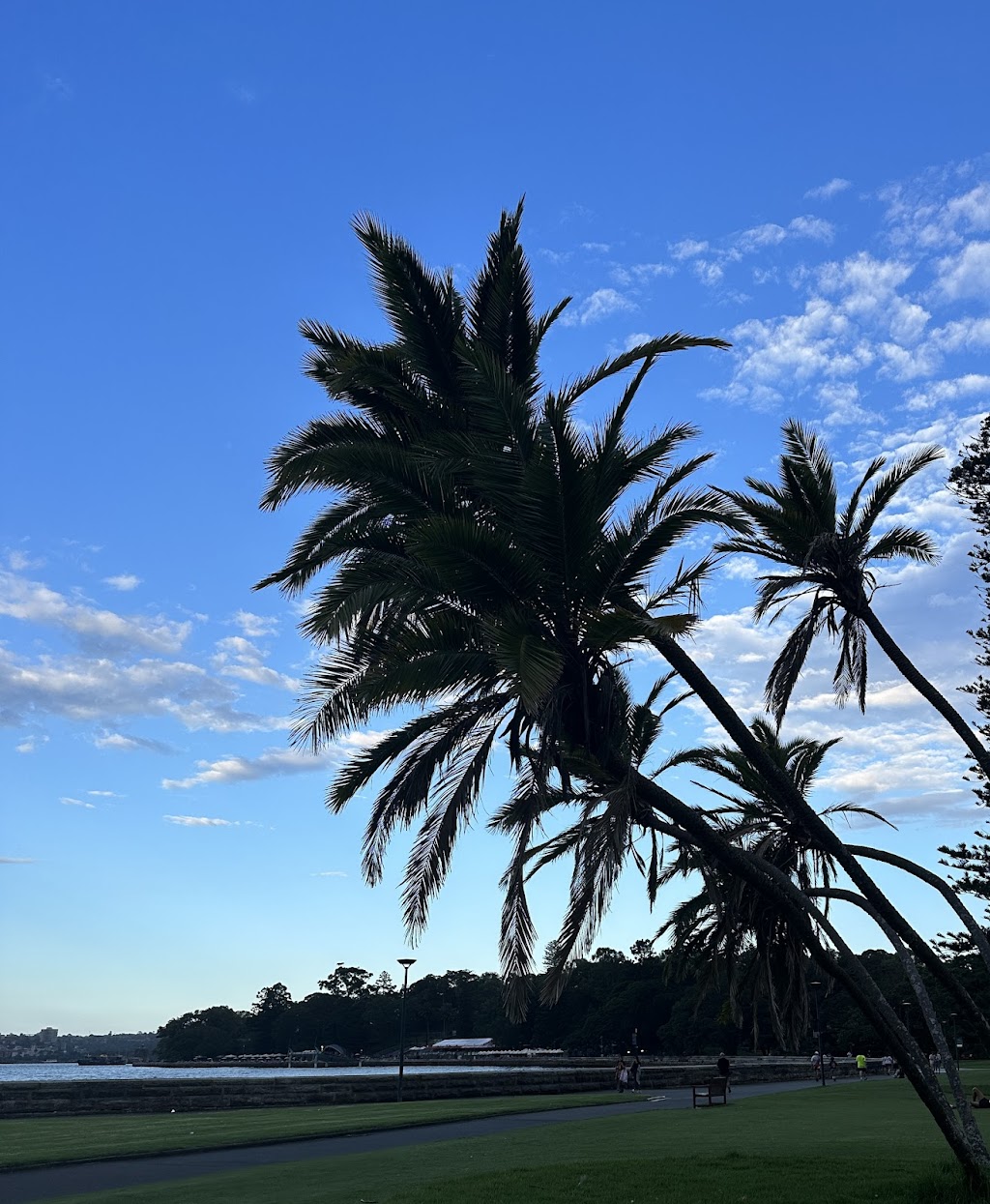 YuraBirong | Mrs Macquaries Rd, Sydney NSW 2000, Australia | Phone: (02) 9231 8111