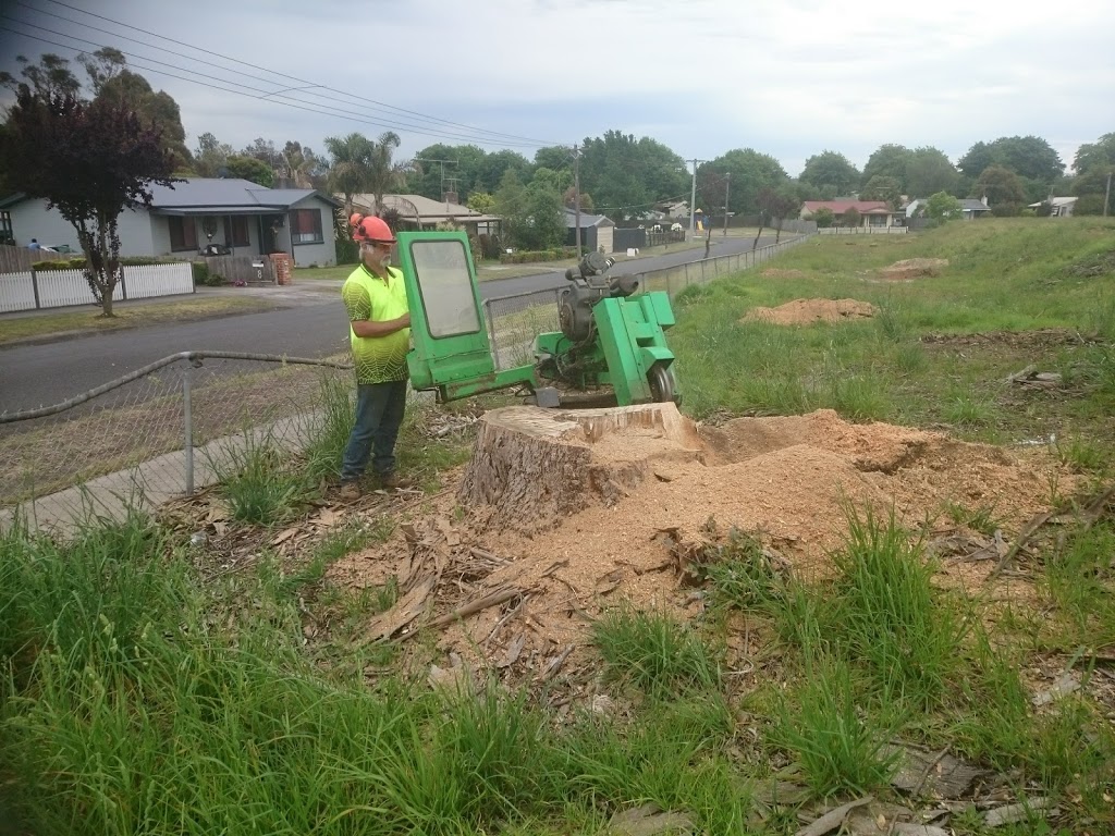 Gippsland Stump Grinding Services | 4 Dalpura Ct, Churchill VIC 3842, Australia | Phone: 0402 733 963