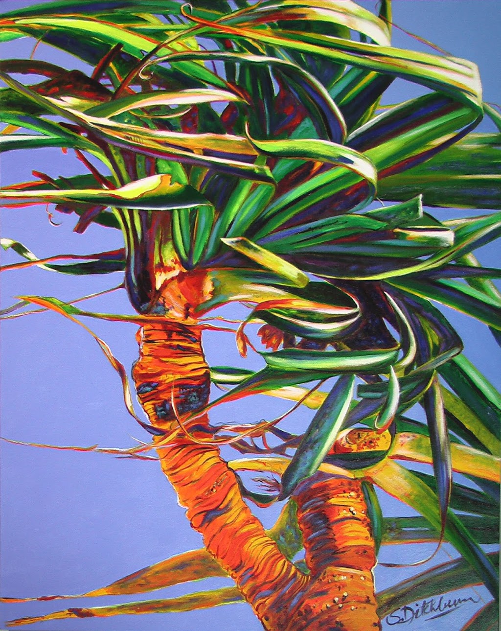 Sylvia Ditchburn Fine Art Gallery | Operating from my studio, Rowes Bay QLD 4810, Australia | Phone: 0419 790 245