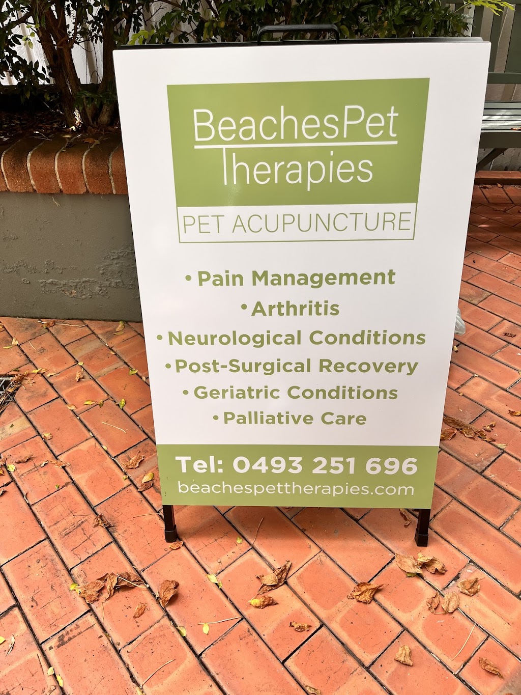 Beaches Pet Therapies | health | 5/35 Adams St, Curl Curl NSW 2096, Australia | 0493251696 OR +61 493 251 696