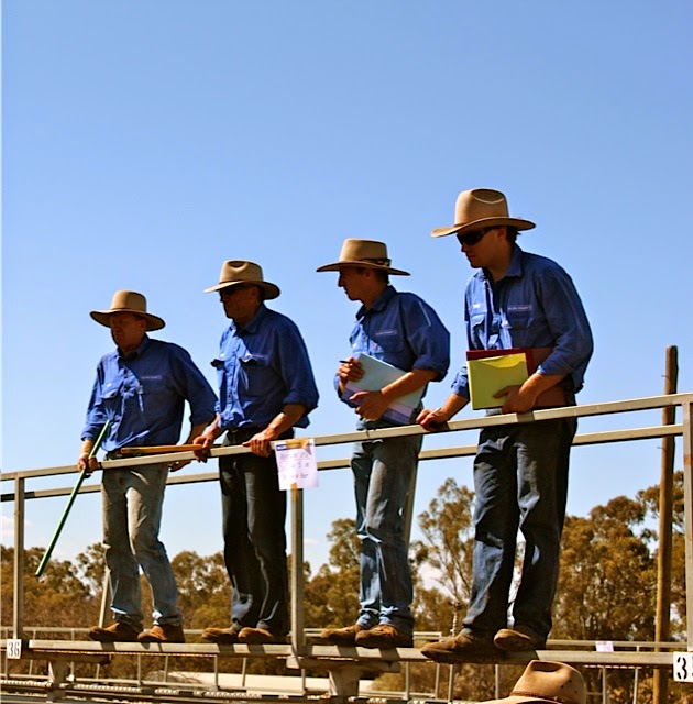 Milling Stuart Pty Ltd. - 34 Bolaro St, Dunedoo NSW 2844, Australia