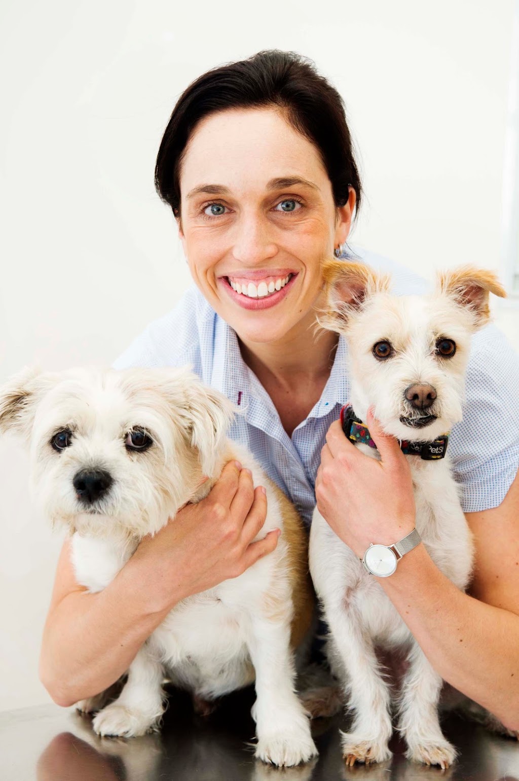 Ivanhoe Veterinary Clinic | veterinary care | 51 Upper Heidelberg Rd, Ivanhoe VIC 3079, Australia | 0394993691 OR +61 3 9499 3691