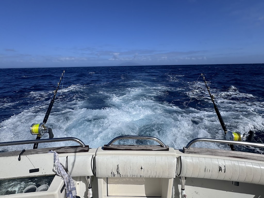 Head Hunter Charters | Bermagui Fishermans Wharf, Lamont St, Bermagui NSW 2546, Australia | Phone: 0428 995 400