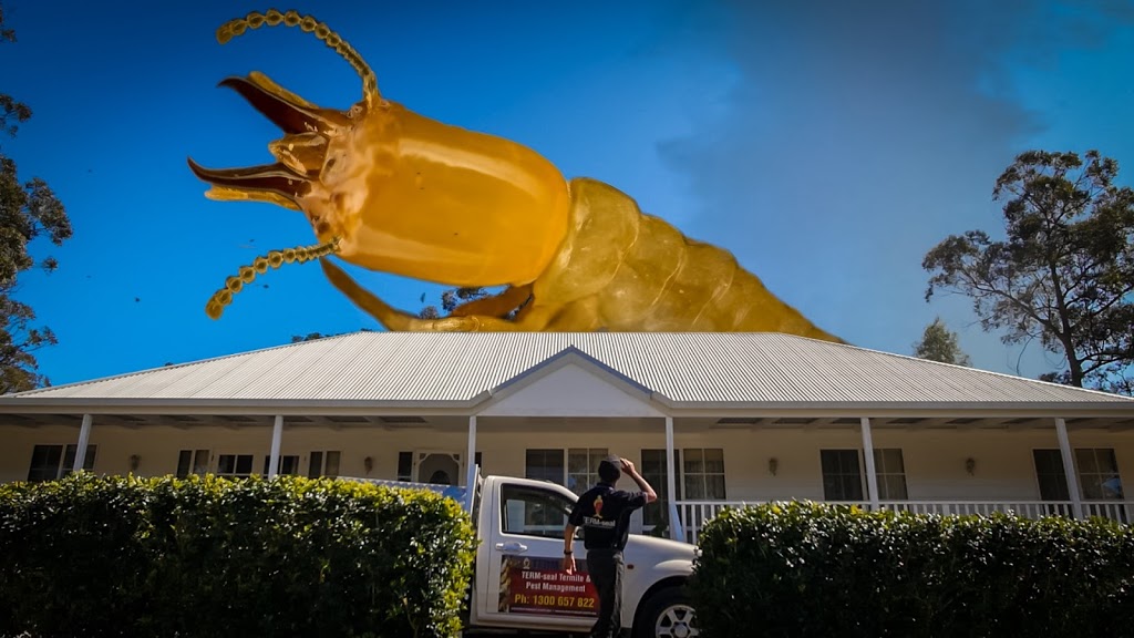 TERM-seal Termite & Pest Management Pty Ltd | home goods store | 8 Trade Circuit, Wauchope NSW 2446, Australia | 0265814414 OR +61 2 6581 4414
