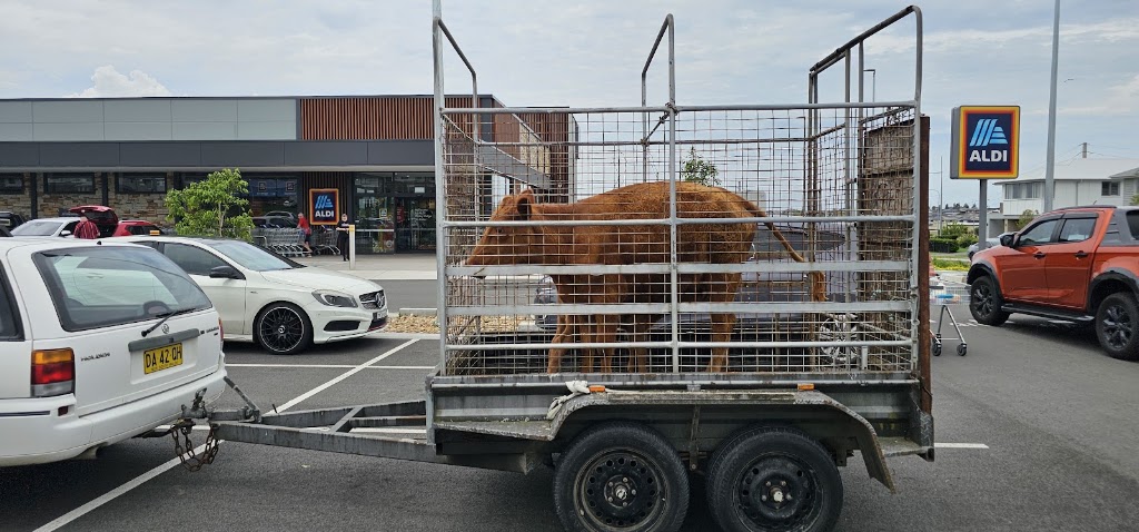 ALDI | 3 Kakadu St, Cobbitty NSW 2570, Australia | Phone: 13 25 34