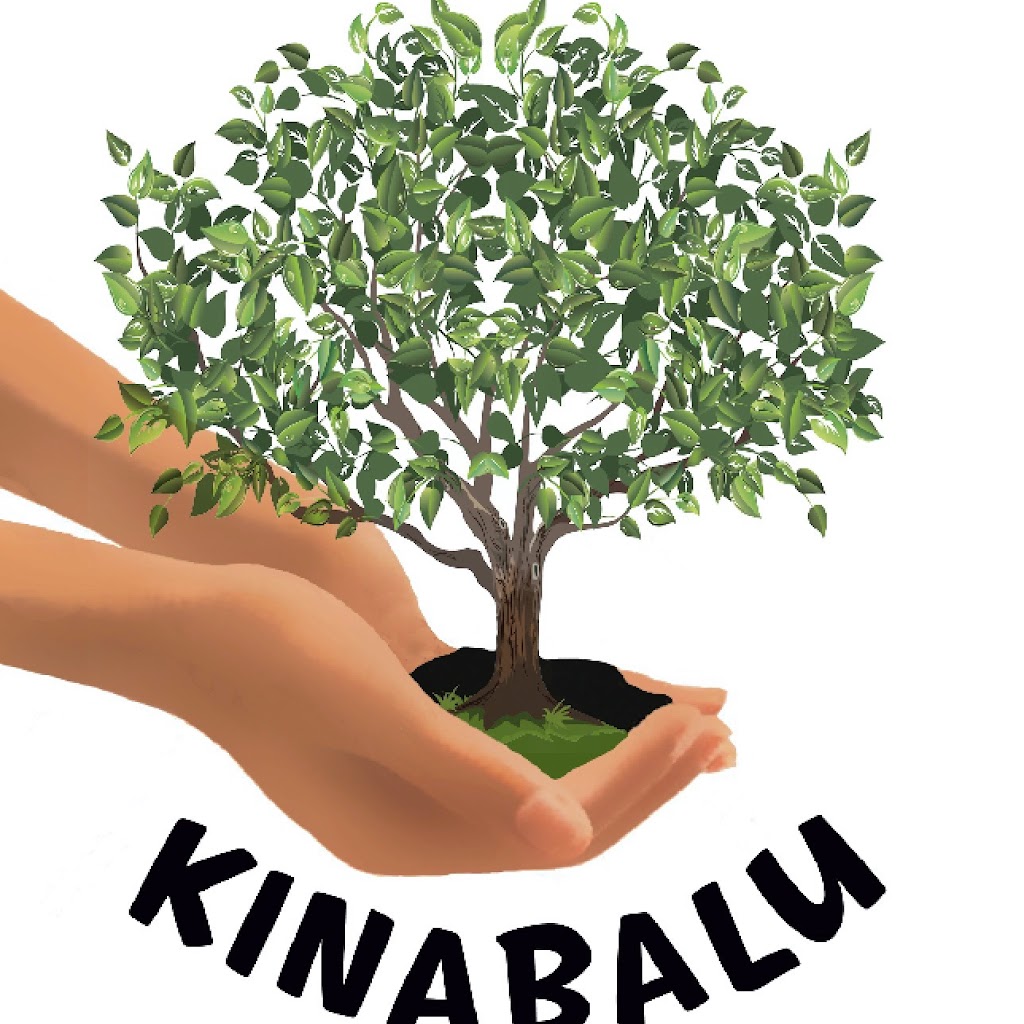 Treehouse in The Pocket | 333 Skyline Rd, Middle Pocket NSW 2483, Australia | Phone: 0415 949 636