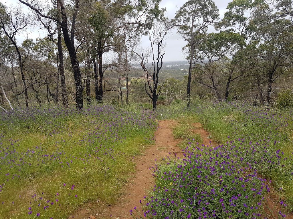 Bungendore Park | Wungong WA 6112, Australia