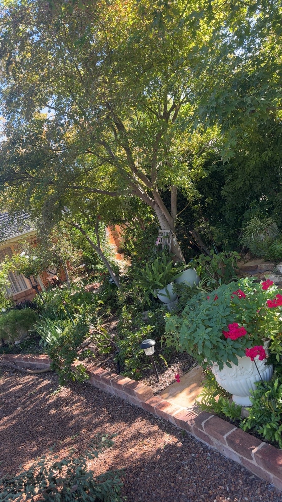 Griffith lawns & removals | 50A Madden Dr, Griffith NSW 2680, Australia | Phone: 0402 496 131