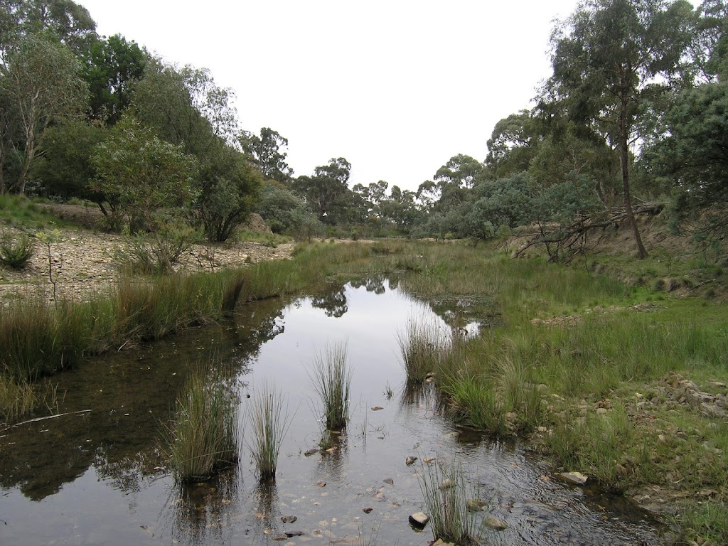 Molonglo Conservation Group | 2/89 Tennant St, Fyshwick ACT 2609, Australia | Phone: (02) 6299 2119