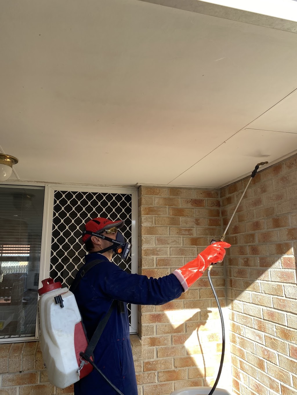 Brisbane Pest Busters | Forbes Rd, Kurwongbah QLD 4503, Australia | Phone: 0415 503 937