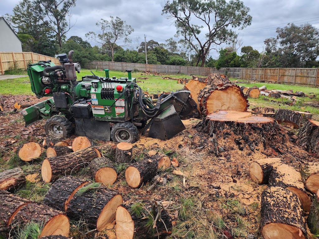 Removastump | 3 Harnett St, Boronia VIC 3155, Australia | Phone: 0425 736 571