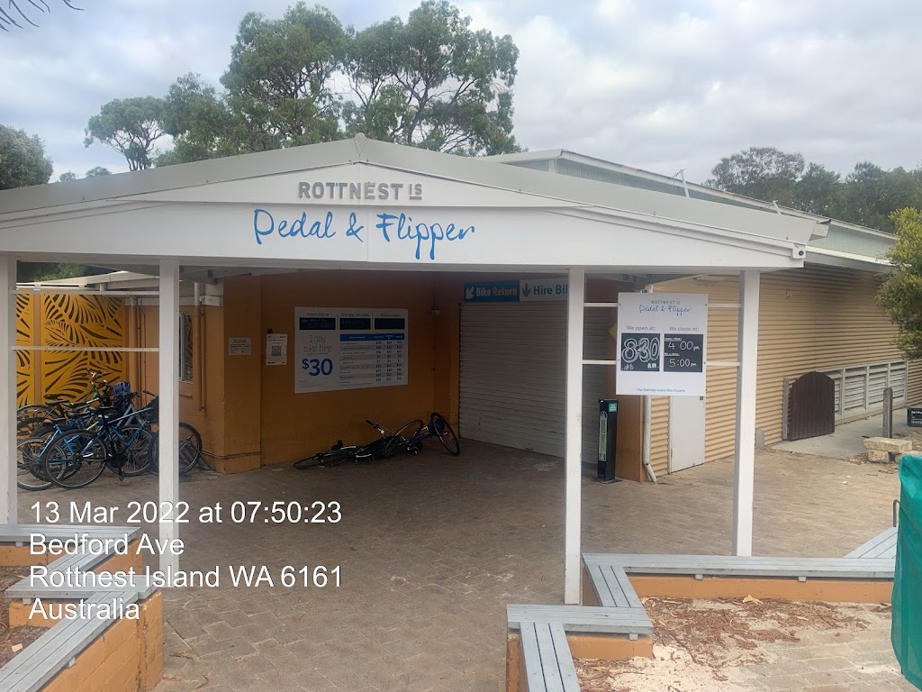 Pedal & Flipper |  | Bedford Ave, Rottnest Island WA 6161, Australia | 0892925105 OR +61 8 9292 5105