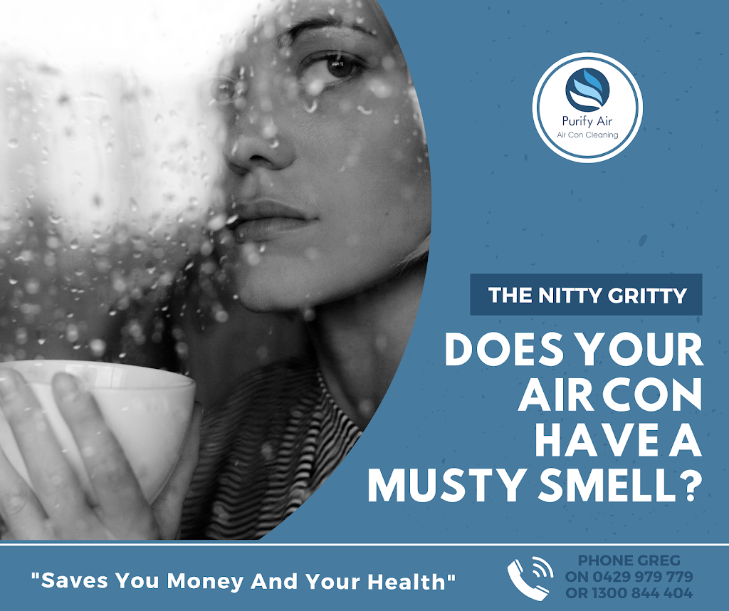 Purify Air Con Cleaning Springwood | general contractor | 42 Trevallyan Dr, Daisy Hill QLD 4127, Australia | 0429979779 OR +61 429 979 779