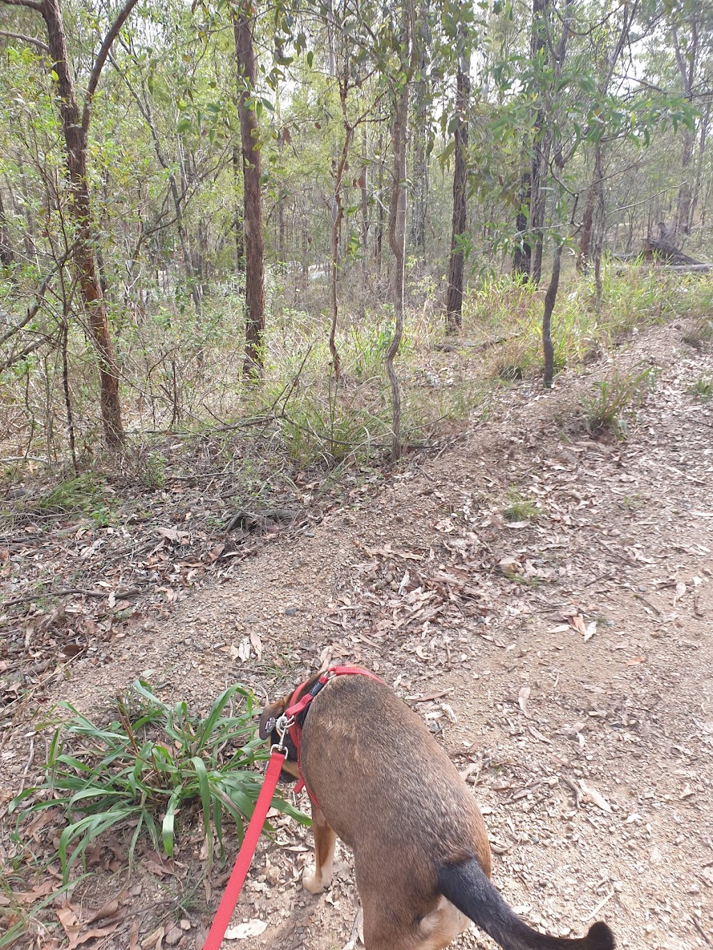 Ironbark Gully | tourist attraction | Samford Rd, Ferny Hills QLD 4055, Australia | 137468 OR +61 137468