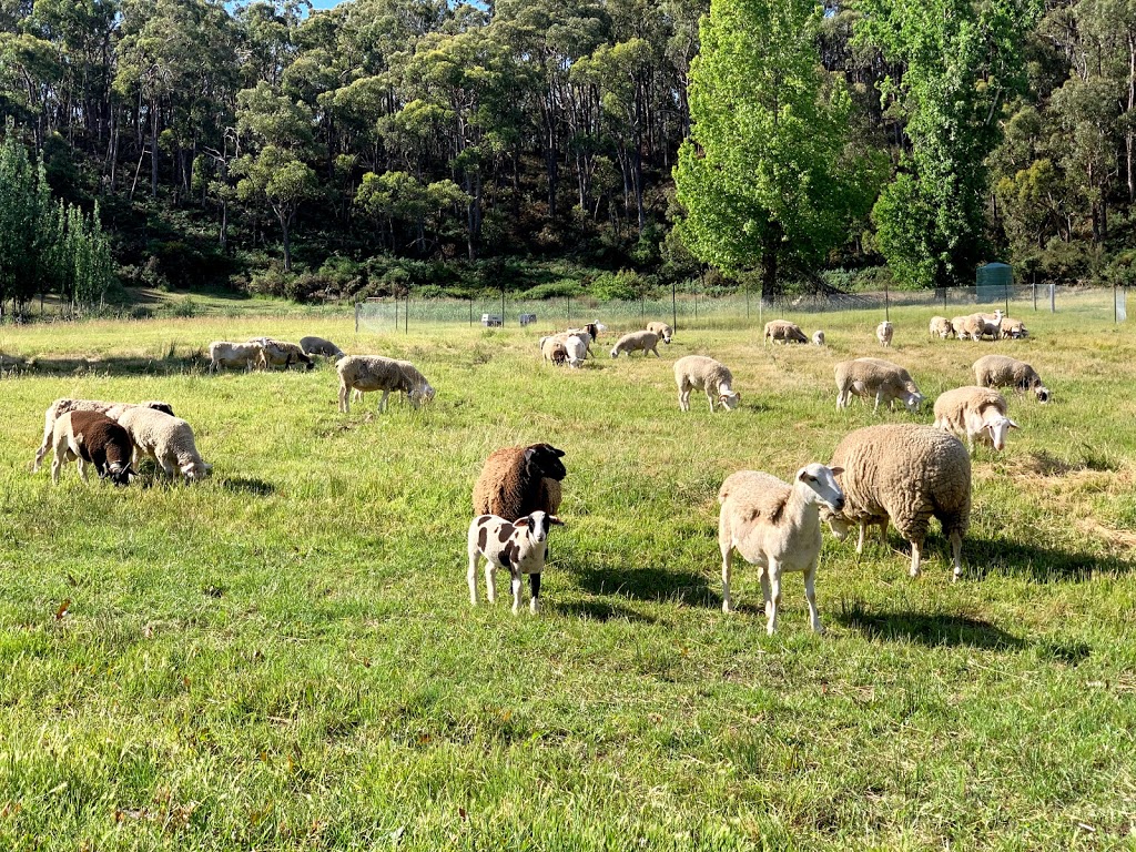 Hahndorf Animal Farm | store | 31 Storch Ln, Hahndorf SA 5245, Australia | 0404040401 OR +61 404 040 401