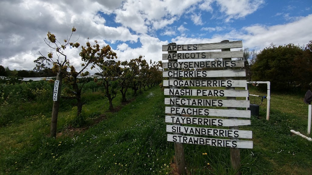 Sorell Fruit Farm | 174 Pawleena Rd, Sorell TAS 7172, Australia | Phone: (03) 6265 3100