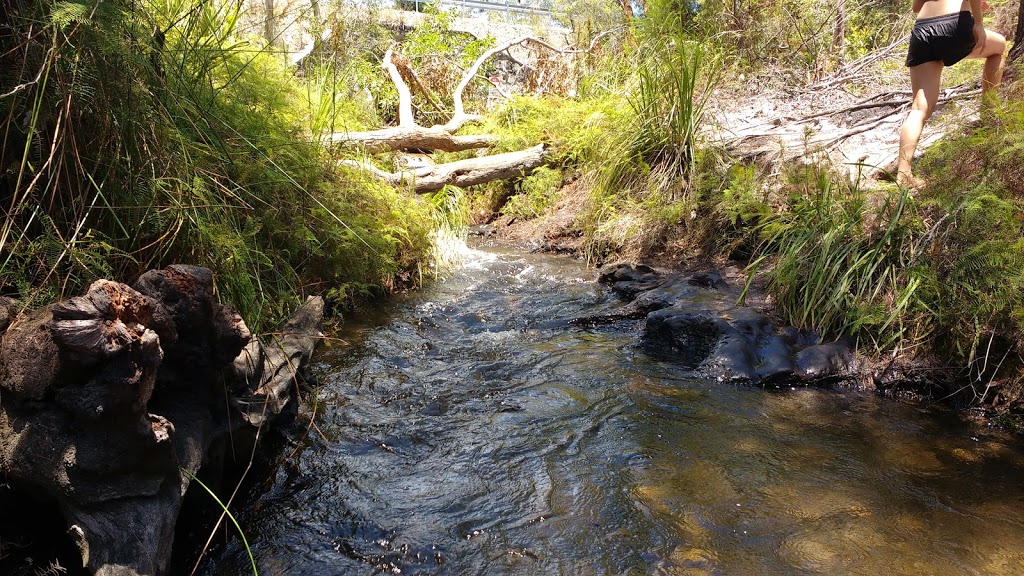 Searys Creek Day Use Area | park | Great sandy national park, Cooloola QLD 4580, Australia
