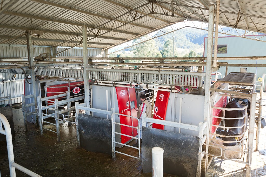 Wilsons Robotic Dairy Kyogle | school | 2019 Summerland Way, Roseberry NSW 2474, Australia | 0266364254 OR +61 2 6636 4254