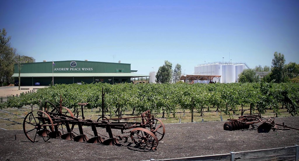 Andrew Peace Wines | 4077 Murray Valley Hwy, Piangil VIC 3597, Australia | Phone: (03) 5030 5291
