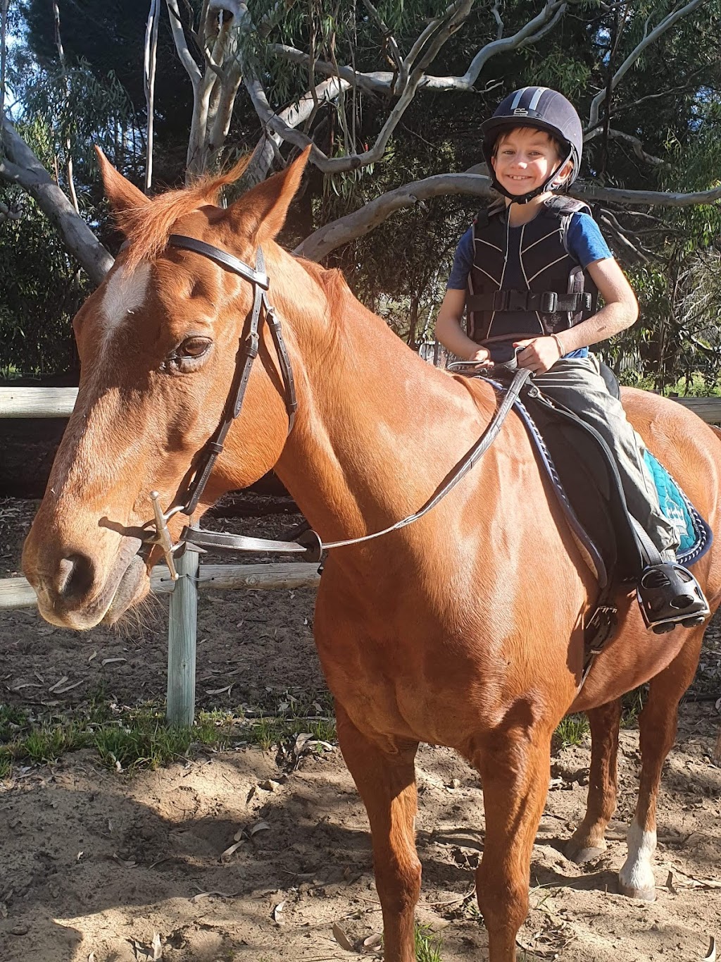 wa horse therapy | 374 King Dr, Woodridge WA 6041, Australia | Phone: 0429 318 046