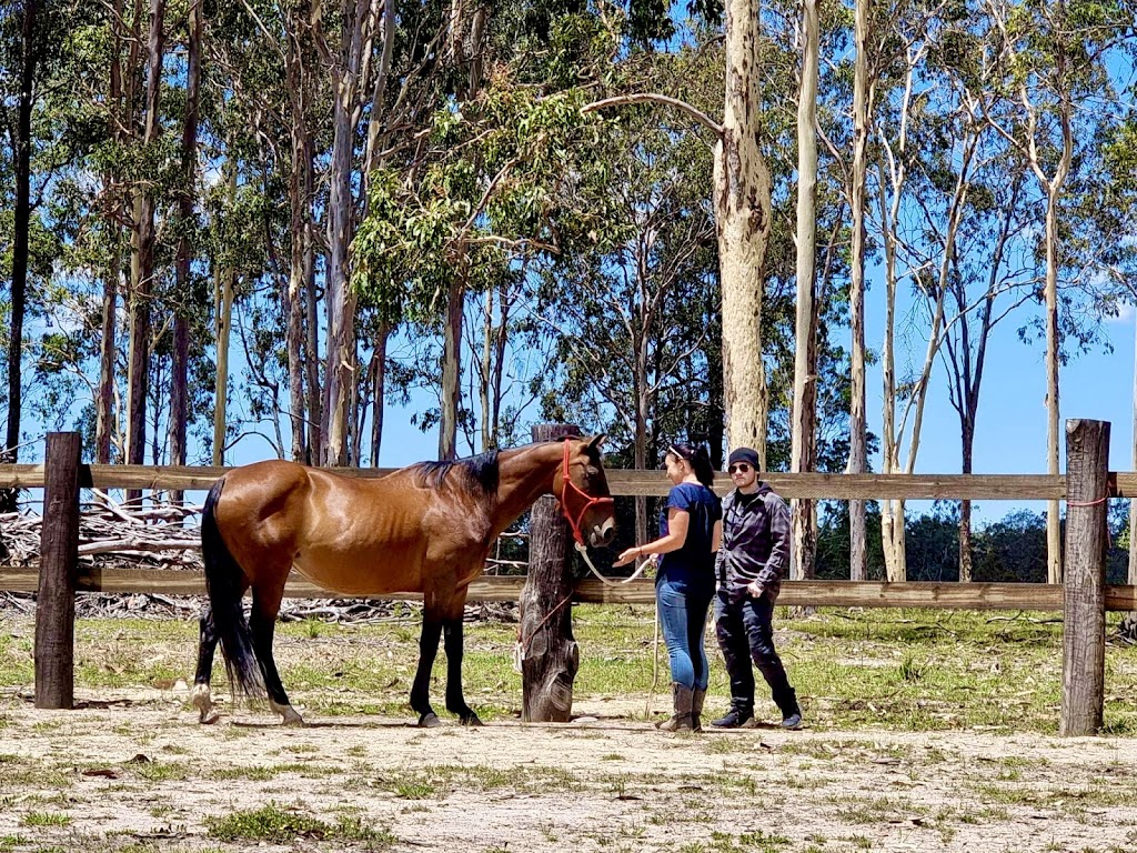 Hearts and Hooves Equestrian Centre | 77 Kangaroo Creek Rd, Coutts Crossing NSW 2460, Australia | Phone: 0415 617 792