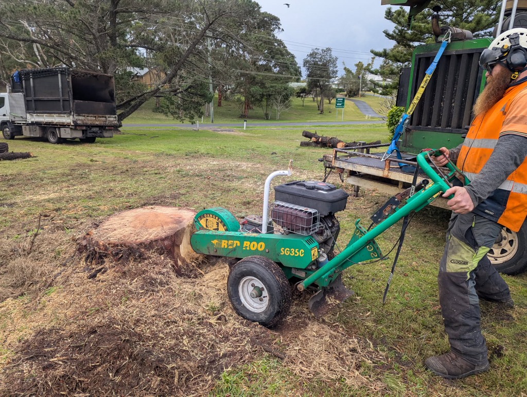 Daly Tree Contracting | 5 Jessie Rd, Anna Bay NSW 2316, Australia | Phone: 0482 476 534