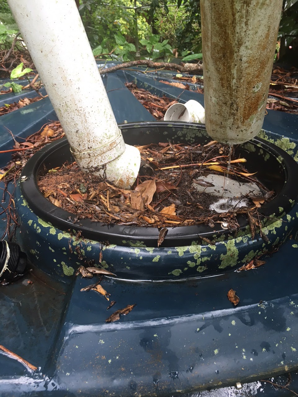 Pristine Water Systems - Tweed & Byron Shires | 7 Eileen Pl, Casino NSW 2470, Australia | Phone: 0487 777 247