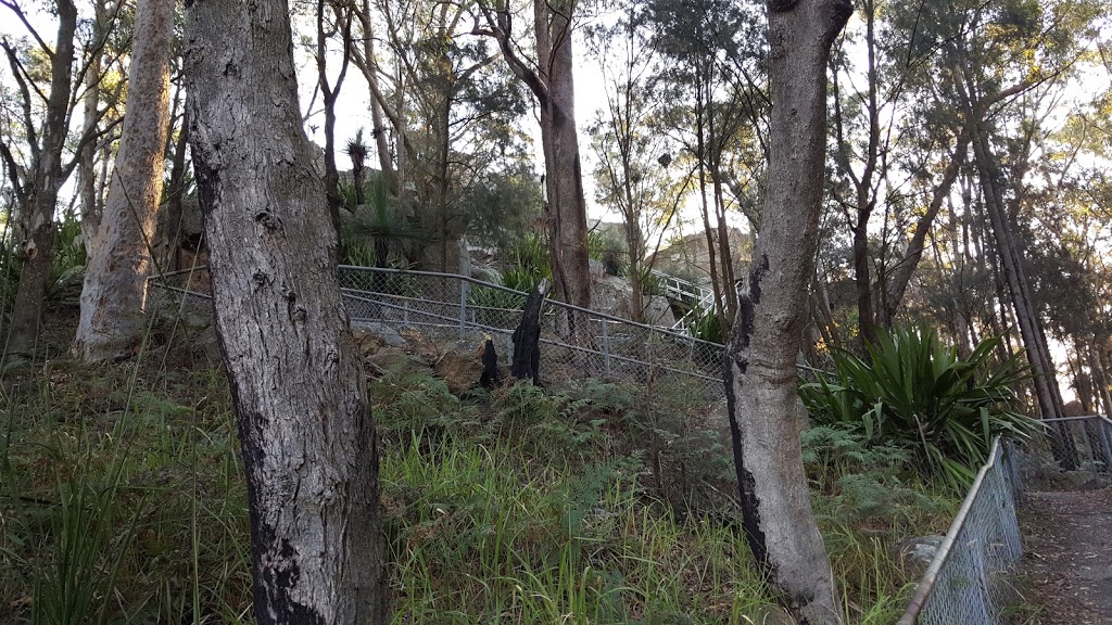 Mt. Sugarloaf Lookout | park | West Wallsend NSW 2286, Australia