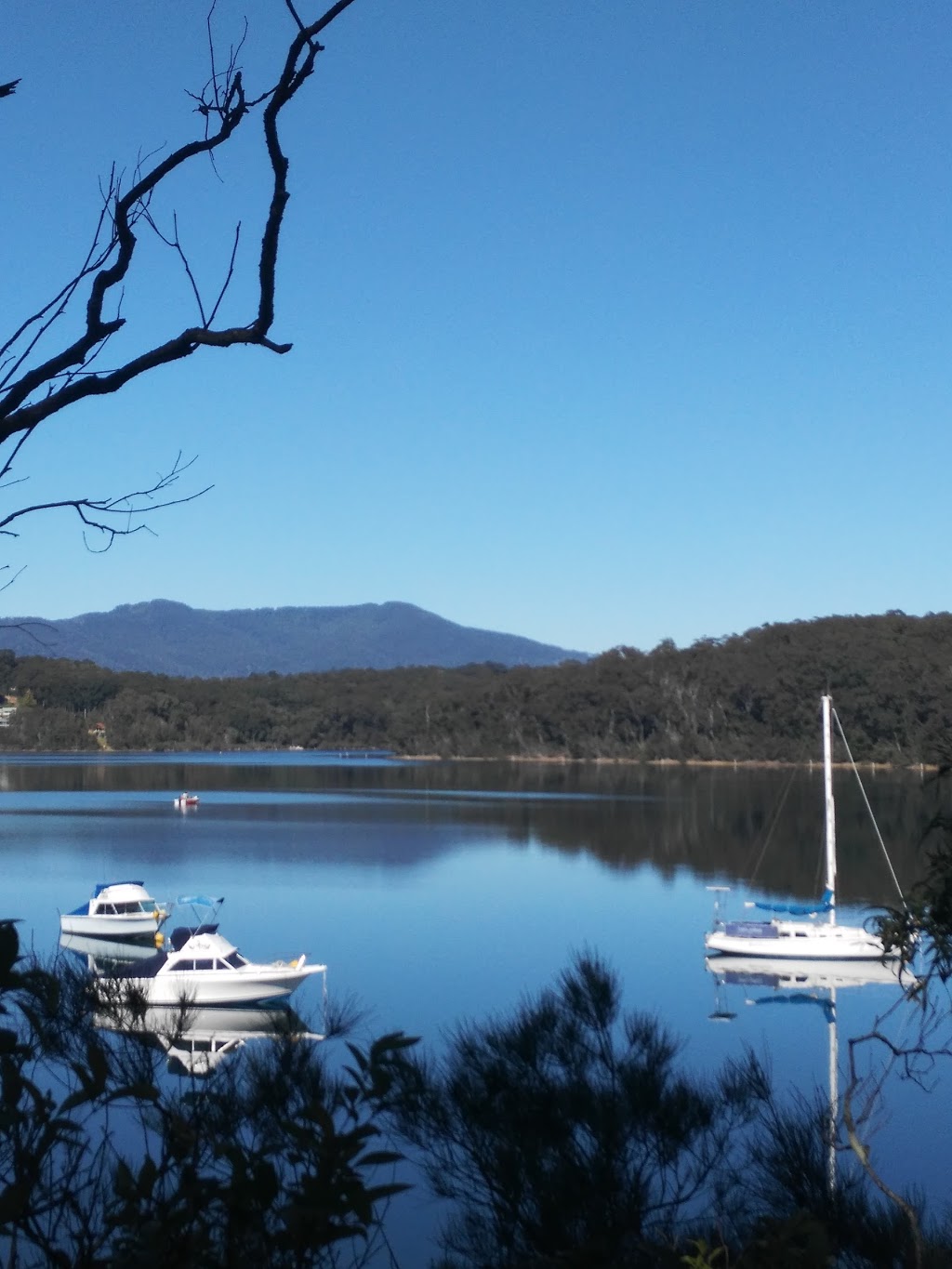 Riverview Houseboats | 19/21 Riverside Dr, Narooma NSW 2546, Australia | Phone: 0419 846 372