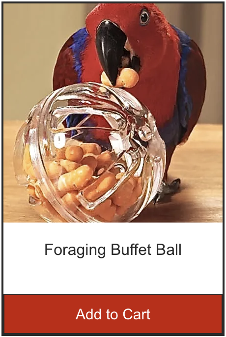 Birdtalk Bird Products | Rangeview Ct, Boyland QLD 4275, Australia | Phone: 0431 863 650
