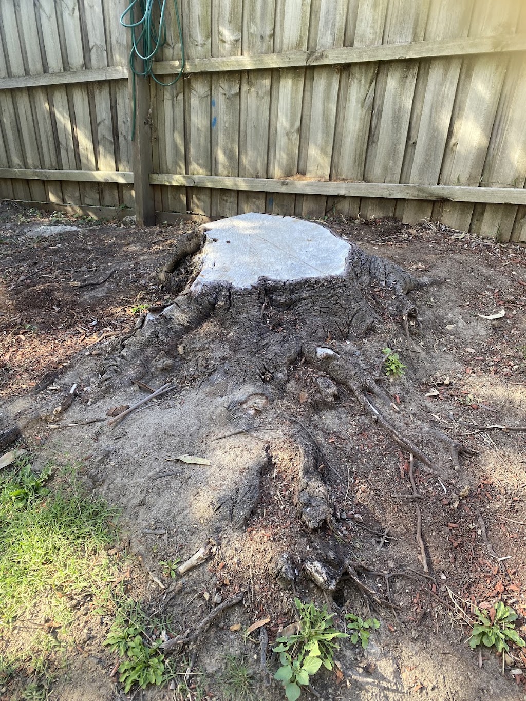 Victorian Tree Specialists | 281 Blackburn Rd, Blackburn South VIC 3130, Australia | Phone: 1300 604 510
