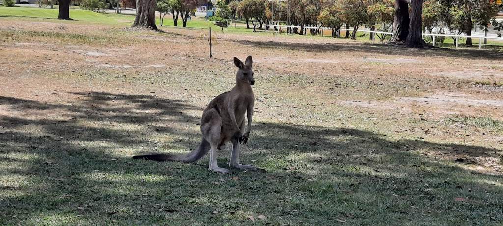 Kempsey Golf Club | Macleay Valley Way, Kempsey NSW 2440, Australia | Phone: (02) 6562 6291