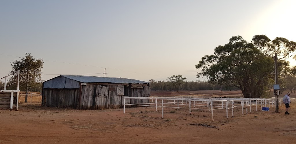 Weethalle Showgrounds Campsite | Weethalle NSW 2669, Australia | Phone: 0437 756 176