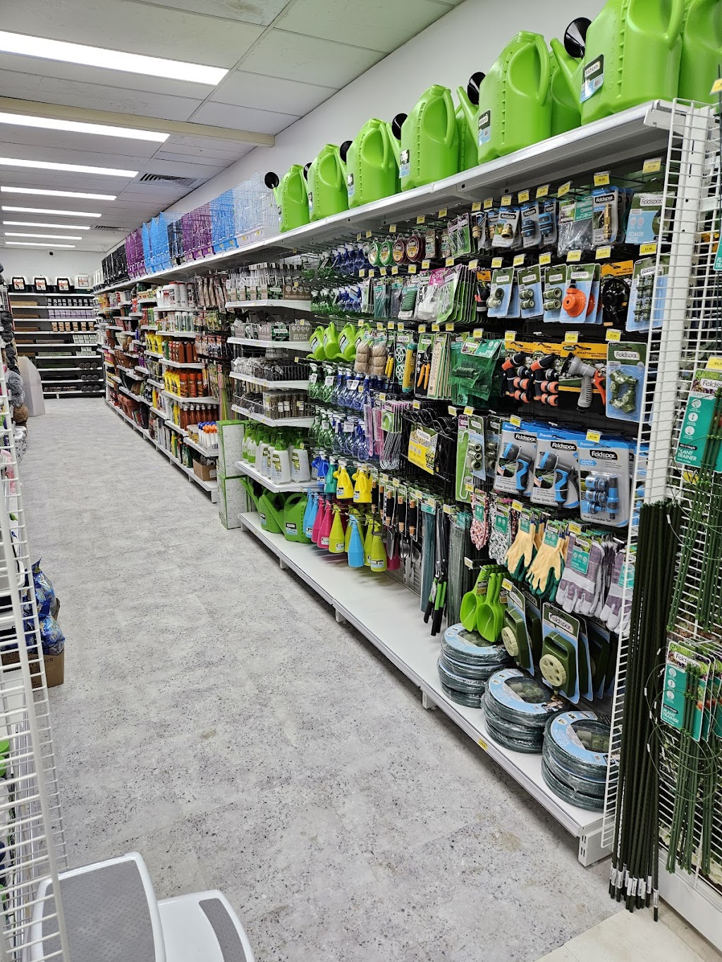 Price Busters Variety | Shop 8, Marketplace, 55/75 Braun St, Deagon QLD 4017, Australia | Phone: (07) 3869 1224