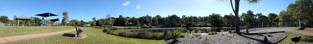 The Avenue Park – Duck Pond Peregian Springs | park | 41/66 The Avenue, Peregian Springs QLD 4573, Australia