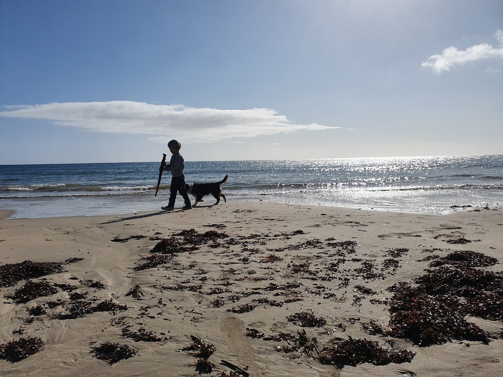 South Burnie Dog Beach | park | The Esplanade, South Burnie TAS 7320, Australia | 64305700 OR +61 64305700