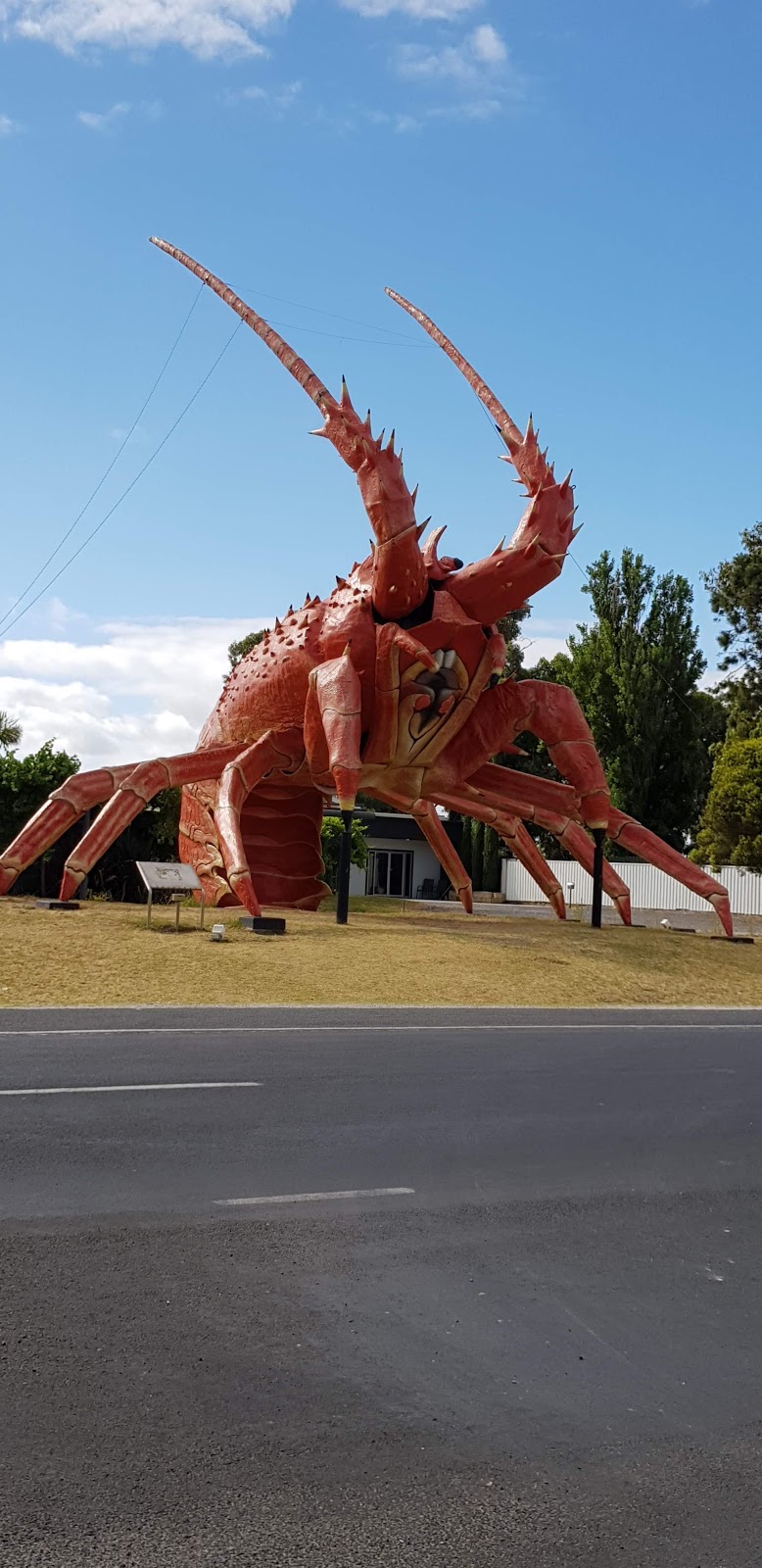 Kingston Lobster Motel | lodging | 4 Princes Hwy, Kingston SE SA 5275, Australia | 0887672322 OR +61 8 8767 2322