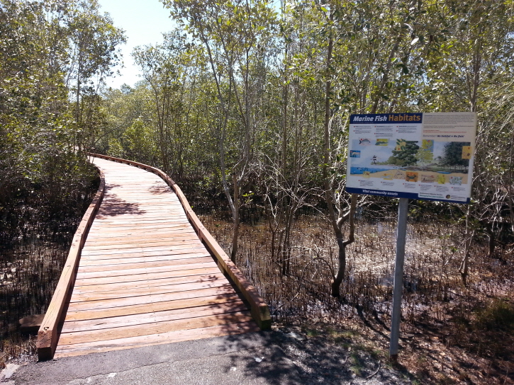 Coombabah Lake Nature Reserve | park | Shelter Rd, Coombabah QLD 4216, Australia | 0755828211 OR +61 7 5582 8211