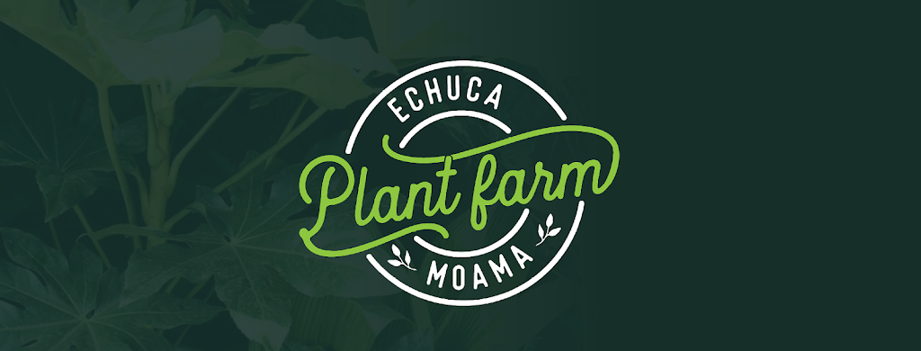 Echuca Moama Plant Farm |  | 13-15 Northern Hwy, Echuca VIC 3564, Australia | 1300599988 OR +61 1300 599 988